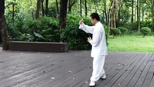 【中國優秀傳統文化武術系列】大雁掌