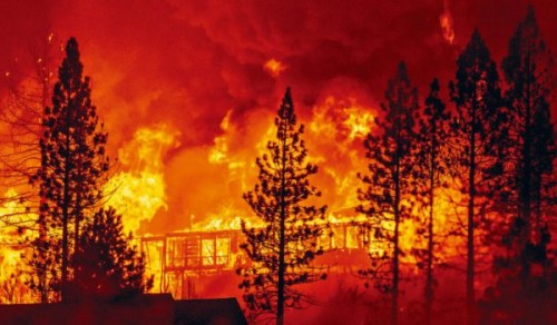 美國加州山火過火面積創歷史新高